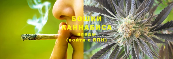 крисы Горняк