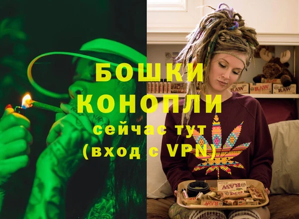 apvp Гусь-Хрустальный