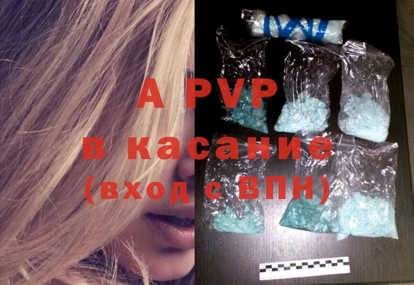 стафф Гусиноозёрск
