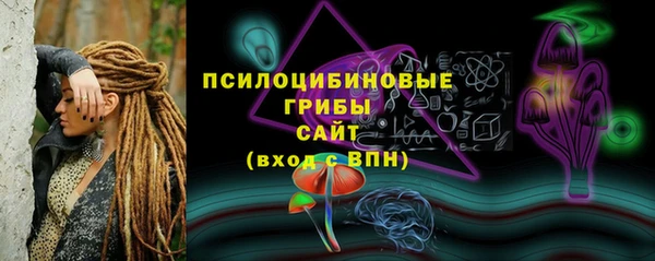 apvp Гусь-Хрустальный