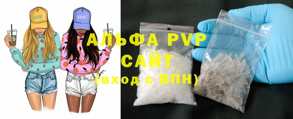 крисы Горняк